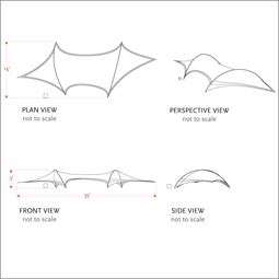 Twisting Ray dims 255