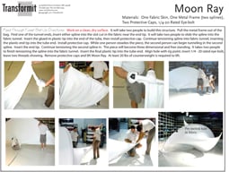 Moon Ray Directions 2011 255