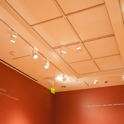 Bowdoin Art Museum Skylights sq 255