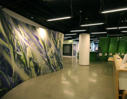 IMG 1596 255