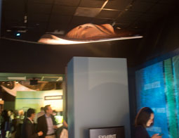 Sting Ray Smith 255(2)