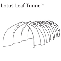 Lotus Tunnel2 desc 255