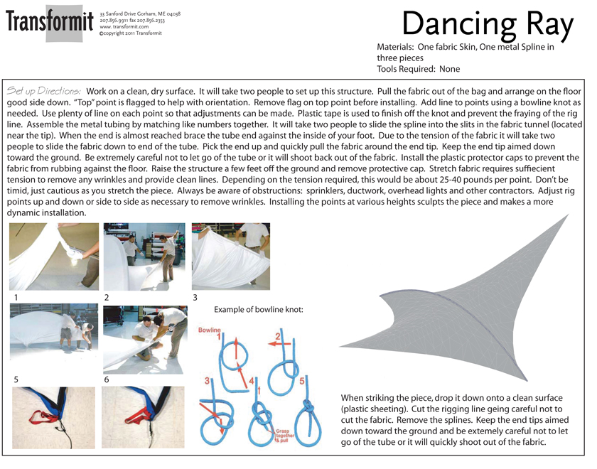 Dancing Ray Directions 840