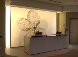 case study womens heath