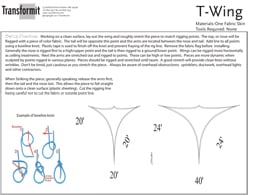 T Wing Directions 255