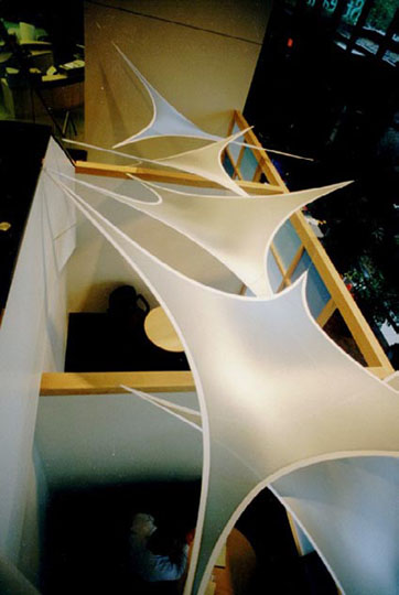 Fabric structures, custom, office, Free Form Wings, Client: Selbert Perkins Design.