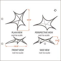 Dancing_Star_FireFly_Dimensions_255.jpg