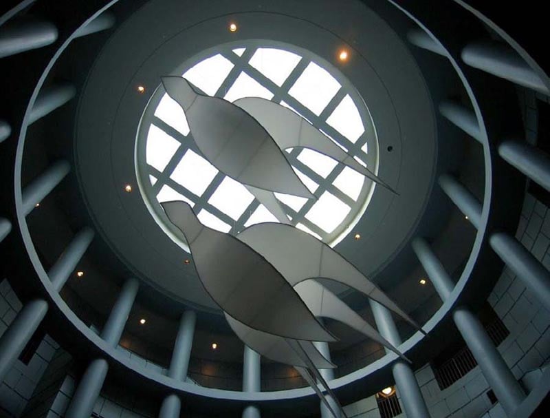 healthcare (3)