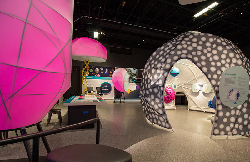Fabric Structures, museums, Under the Microscope - UMMNH